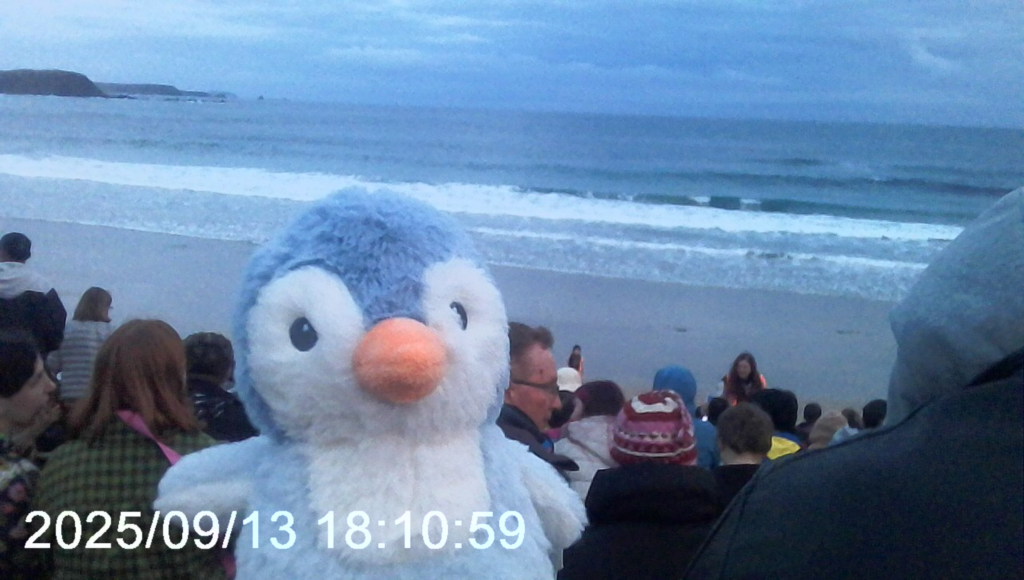 Practicing Gratitude Even When Everything is Terrible img 2924