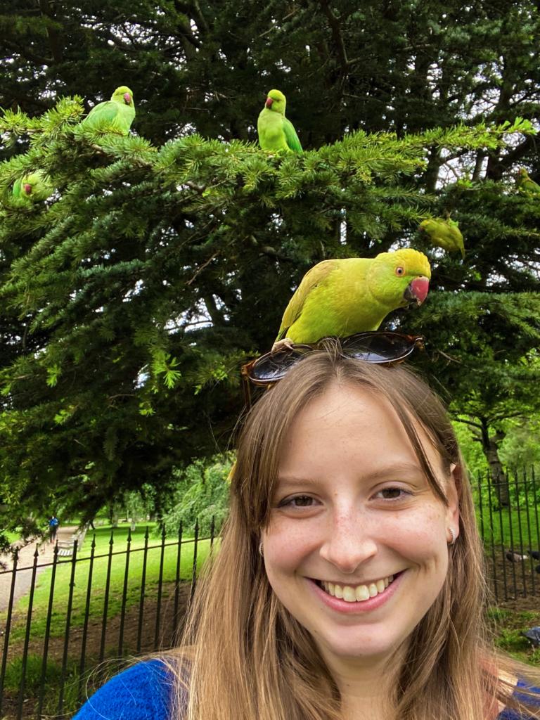 Homepage IMG 9346 768x1024